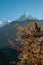 Early morning shines through pink blossoms and illuminates Machhapuchhare, Nepal