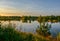 .Early morning on the shore of the quarry. Late summer,