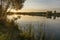 .Early morning on the shore of the quarry. Late summer,