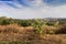 Early morning sun light on southern California hills in autumn,