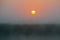 The early morning sun through the mist like a bright fireball, a little bird flying in the fog