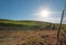 Early morning sun shining on Paso Robles vineyards in the Central Valley of California USA