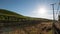 Early morning sun shining on Paso Robles vineyards in the Central Valley of California USA