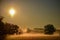 Early morning sunrise with low fog over Central Florida prairie