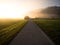 Early morning sunrise panorama of biking path road in green nature landscape, Zelenci Kranjska Gora Julian Alps Slovenia