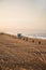 Early morning sunrise and soft haze on Manhattan Beach, waves and rescue towers, Los Angeles