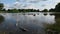 Early morning walk around Bushy Park ponds