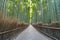 Early morning Wide Angle view of path and sunrays at Sagano Arashiyama Bamboo forest