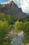 Early Morning, Zion