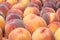 Early Red Haven Peaches Displayed and For Sale in a Farmers Market. Grown in Hood River, Oregon, America