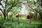 Early Spanish ovens for making bricks surrounded by greenery in a park