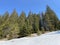 The early spring atmosphere and the last remnants of winter in the Alptal alpine valley, Einsiedeln - Canton of Schwyz