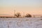Early spring, bare trees, snowy fields of nature, horizon