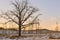 Early spring, bare trees, snowy fields of nature, horizon