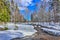 Early spring landscape in forest with melting snow and brook