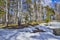 Early spring landscape in forest with melting snow and brook