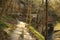 Early Spring Landscape of hiking trail in Canyon at Starved Rock