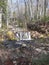 The early spring landscape, with a mini waterfall among the still bare, leafless forest trees, waiting for all nature to come back