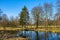 Early spring landscape of mixed forest and water ponds in Konstancin-Jeziorna Springs Park - Park Zdrojowy w Konstancinie