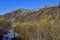 Early spring landscape on mountain river bank with blooming pussy willow