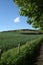 Early spring landscape, rural farmland, meadow