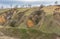 Early spring landscape with soil erosion and flowering apricot trees in loamy ravines