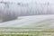 Early spring landscape. Trees covered with hoarfrost. Green hills