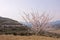 Early spring in loess plateau