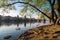 Early spring morning on the Vltava River, Prague, Czech Republic