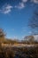 Early spring scene of pond covered by reed