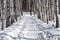 Early Spring Scene. Tranquil Landscape. Pathway and Snowdrifts