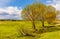 Early spring view of Biebrza river wetlands and nature reserve landscape with wooded path in Mscichy village in Poland