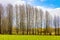 Early spring view of Biebrza river wetlands and nature reserve landscape with wooded path in Mscichy village in Poland