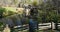 Early spring view of Mabry Mill on the Blue Ridge Parkway located in Southwestern Virginia