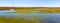 Early spring view of Narew river valley wetlands with marsh-marigold flowers in Zajki village near Wizna in Poland