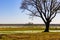 Early spring view of Narew river valley wooded wetlands and nature reserve in Zajki village near Wizna in Poland