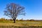 Early spring view of Narew river valley wooded wetlands and nature reserve in Zajki village near Wizna in Poland