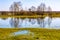 Early spring view of Narew river valley wooded wetlands and nature reserve in Zajki village near Wizna in Poland