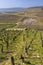 Early spring vineyards near Aloxe-Corton, Burgundy, France