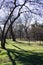 Early springtime city park with green grass