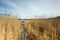 Early springtime lake landscape