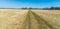 Early springtime rural landscape with meadow, dirt road, trees on the background and clear sky