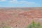 Early Summer in Arizona: View of the Painted Desert from Tiponi Point in Petrified Forest National Park