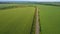 Early summer green fields and road going through