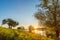 Early summer morning on a large lake surrounded by beautiful wide willows. Green grass covered with dew at sunrise. Beautiful