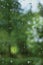 Early summer rainy day, rain drops on window glass, large detailed vertical macro closeup