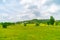 Early Summer scenery of Mulan grassland Scenic spot in Wuhan, Hubei Province, China