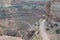 Early Summer in Utah: Overlooking Shafer Trail Switchbacks in the Island in the Sky District of Canyonlands National Park