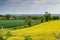 Early summer view of rolling English countryside