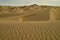 Early sunlight in the sand dunes morning California, USA